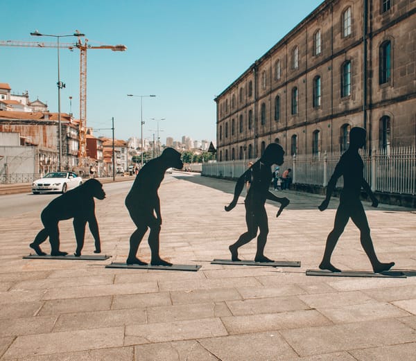 Evolution of a Startup Operator