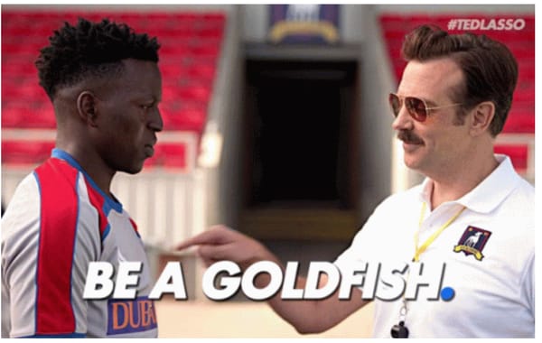 You Can’t Always Be A Goldfish